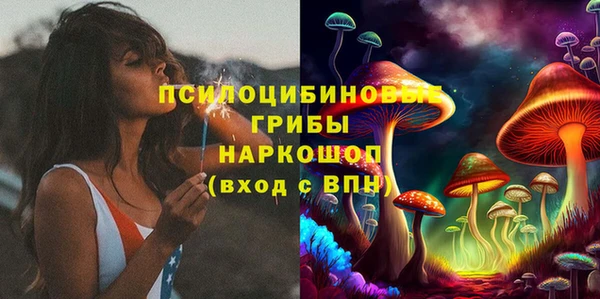 спайс Алексин