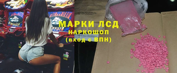 ECSTASY Алзамай