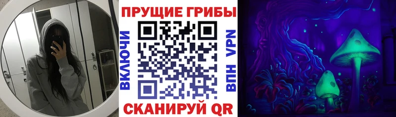 Галлюциногенные грибы Psilocybine cubensis Шуя