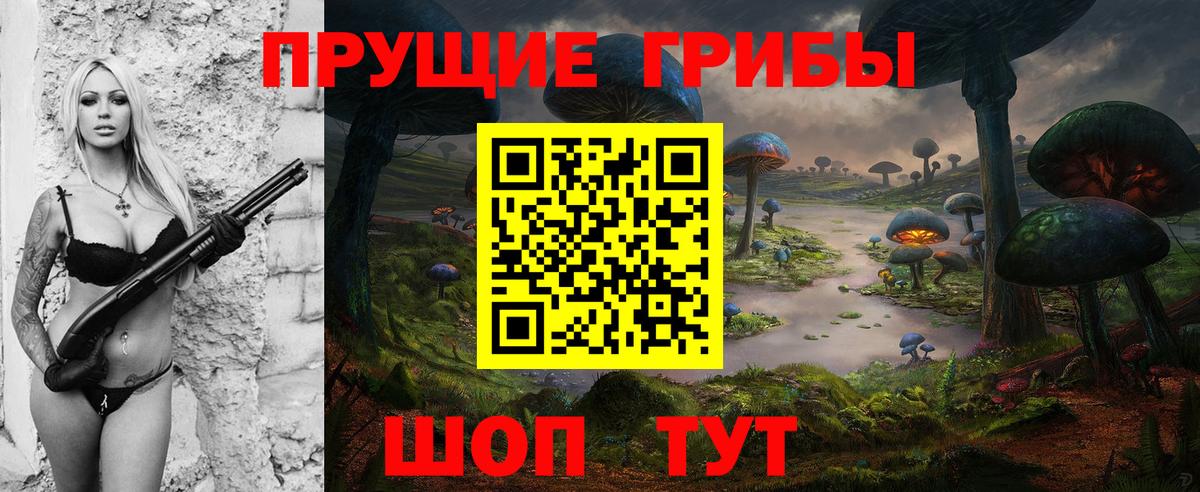 Галлюциногенные грибы Psilocybine cubensis  Вход с VPN  магазин    Псилоцибиновые грибы мицелий  Шуя 