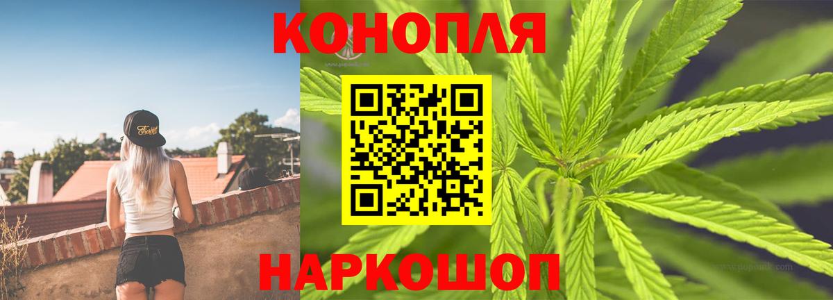Конопля семена Шуя